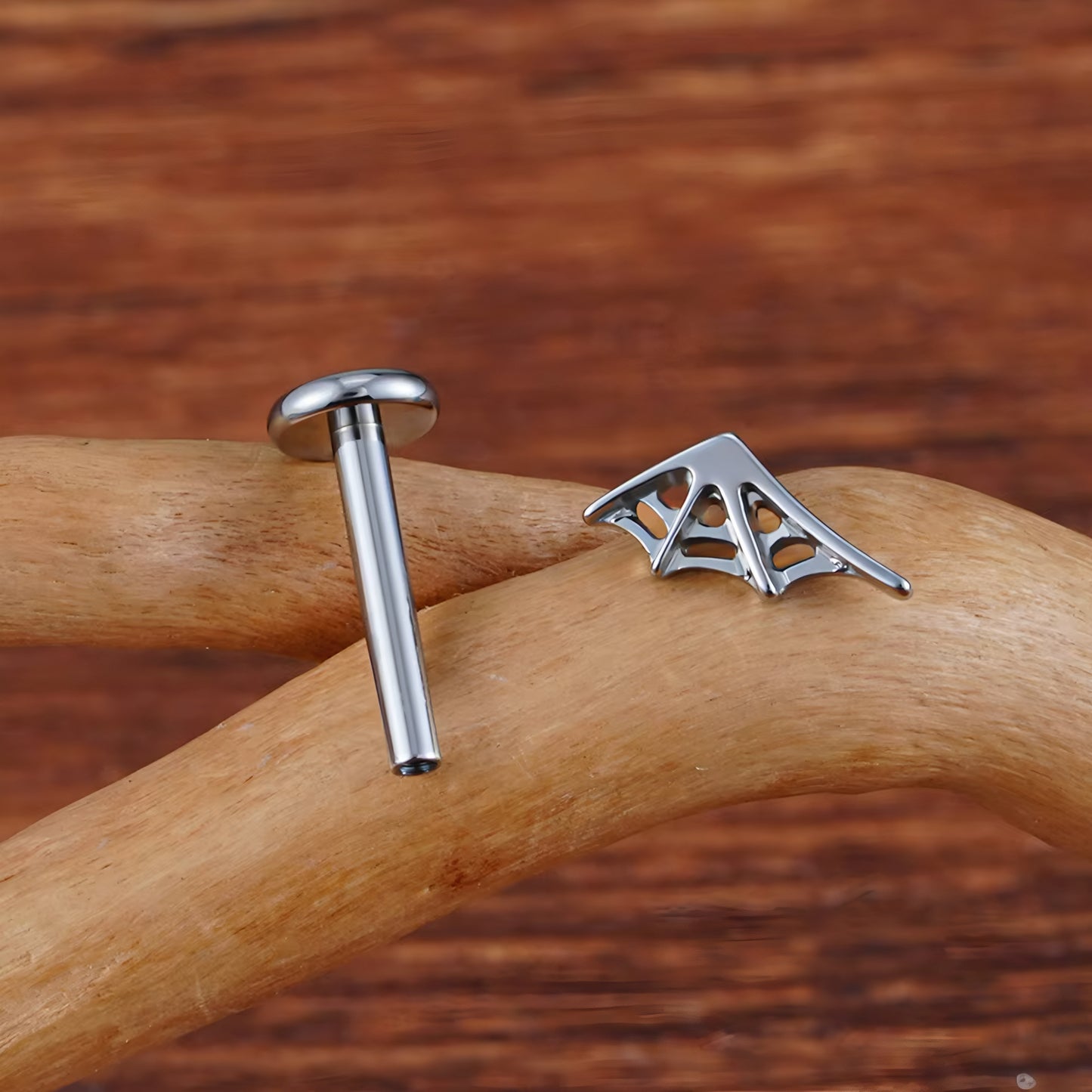 Titanium Spider Web Flat Ear Piercing