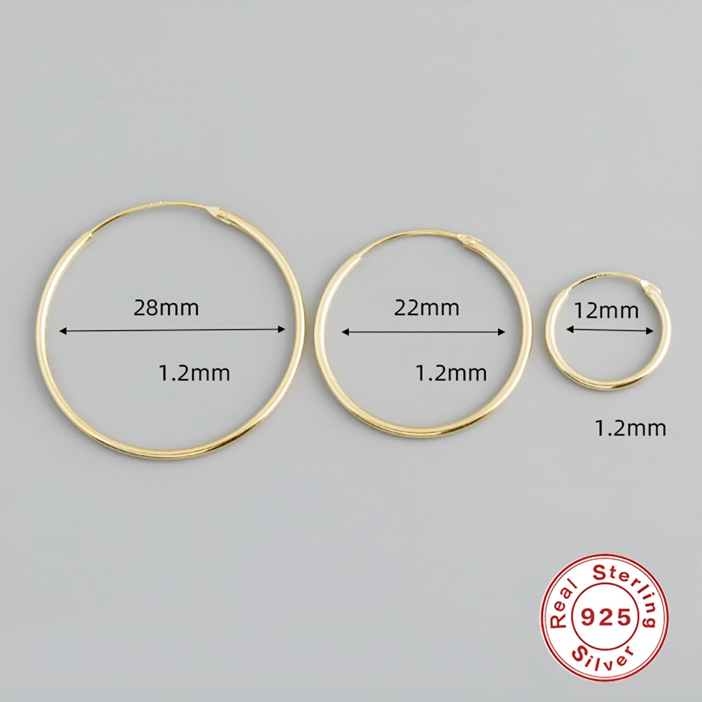 Circle Hoop Earring Pair