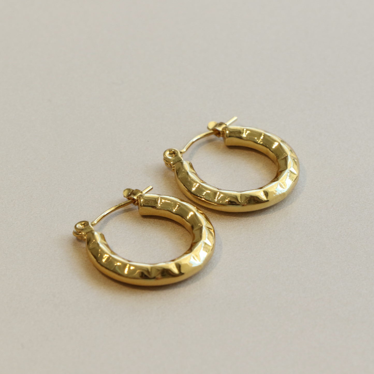 Polygon Circle Earring Pair