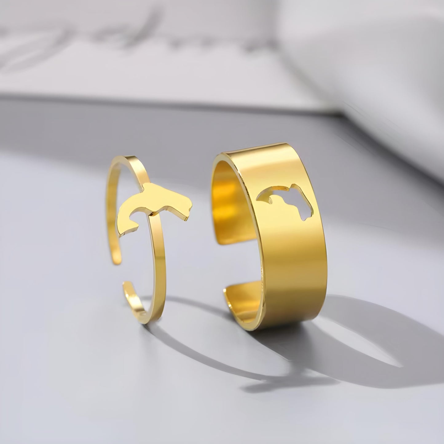 Dolphin Double Ring Matching