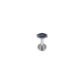 Titanium Single Tiny Marquise Flat Ear Piercing