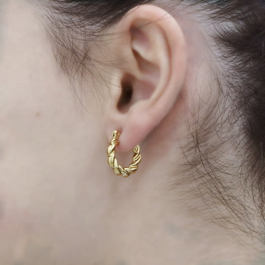 Spiral Round Earring Pair