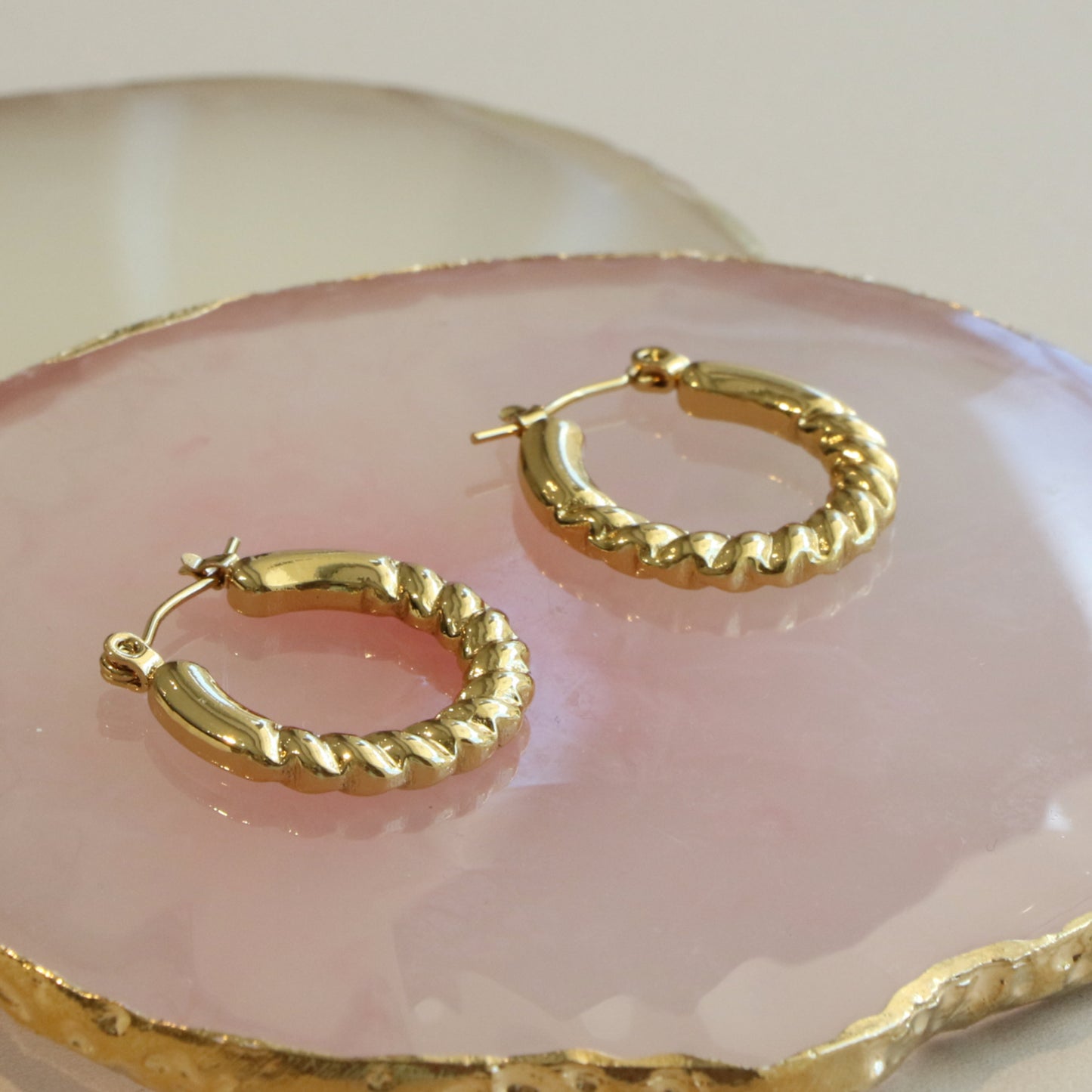 Circle Twist Earring Pair