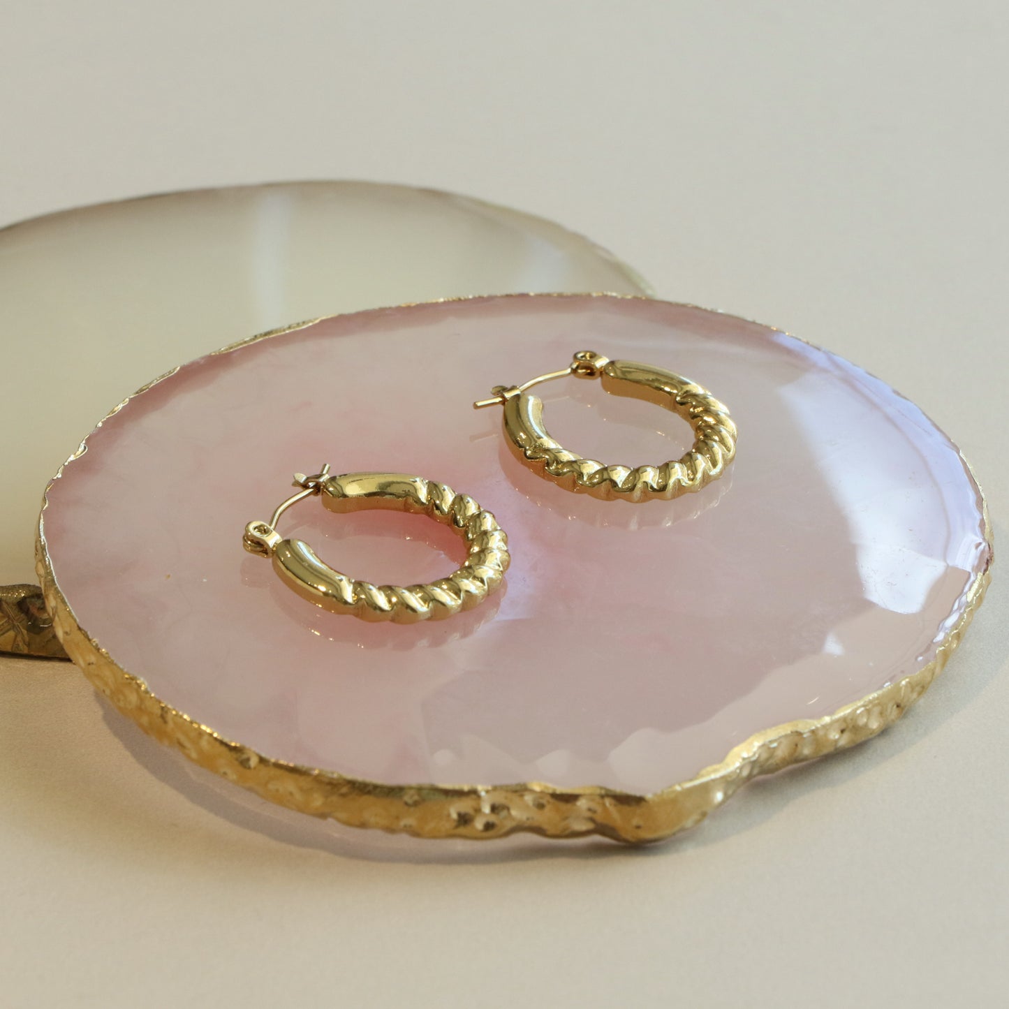 Circle Twist Earring Pair