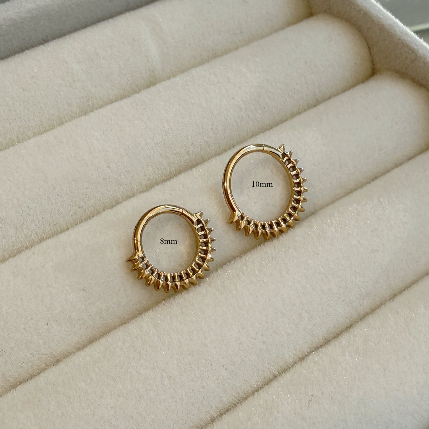 Titanium Spiked Segment Ring