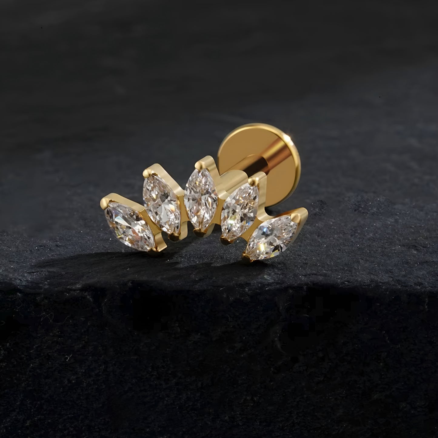 Helix Crown Titanium Ear Piercing