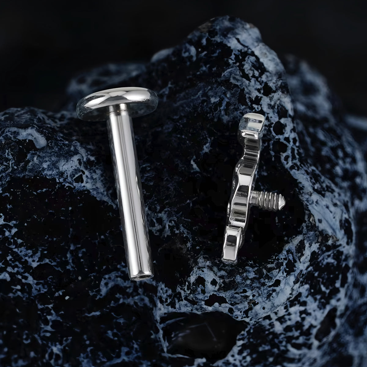 Titanium Seahorse Flat Ear Piercing