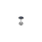 Titanium Single Tiny Marquise Flat Ear Piercing