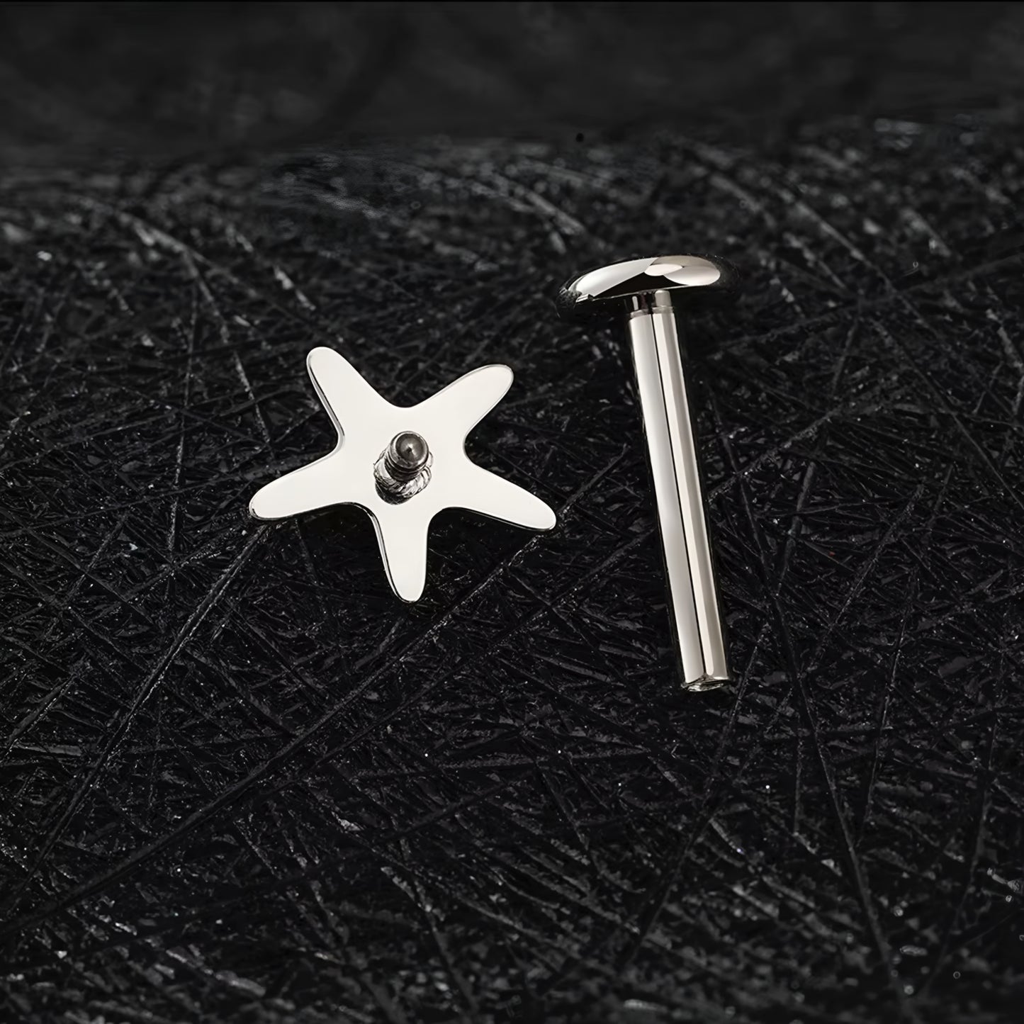 Titanium Tiny Starfish Flat Ear Piercing