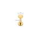 Titanium Circle Disc Flat Ear Piercing