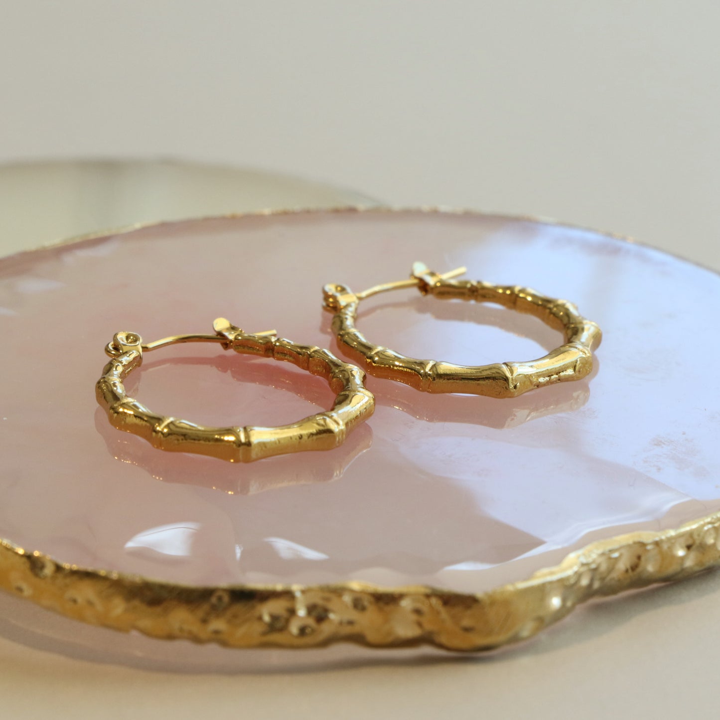 Bamboo Circle Earring Pair