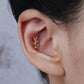 Titanium Marquise Leaves Flat Ear Piercing