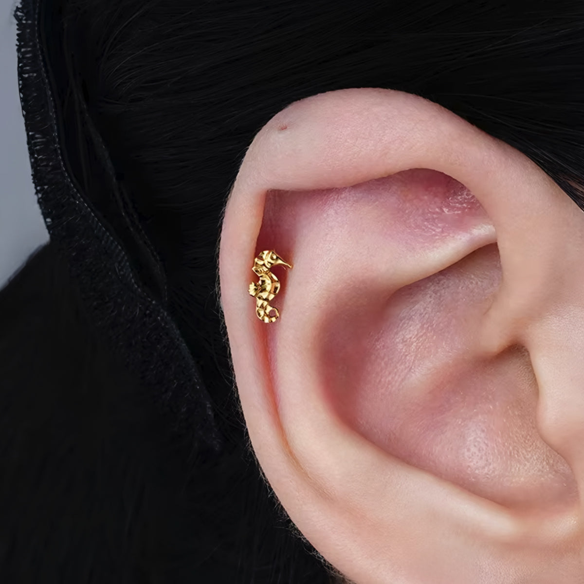 Titanium Seahorse Flat Ear Piercing