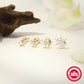 4pcs/set Snow Flake, Star, Shine Earring
