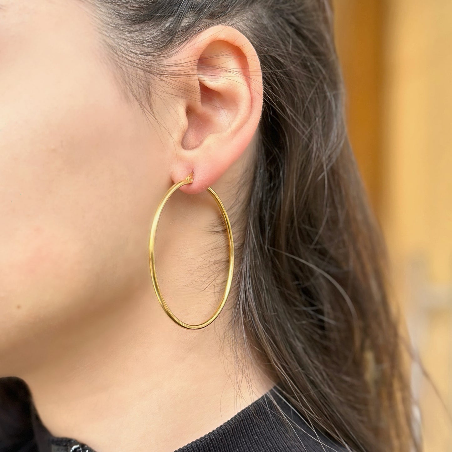 Big Circle Earring Pair